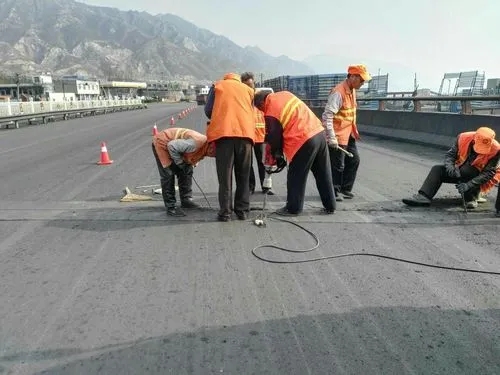 仁布道路桥梁病害治理